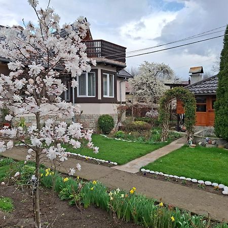 דירות נהויו Casa Fetic מראה חיצוני תמונה