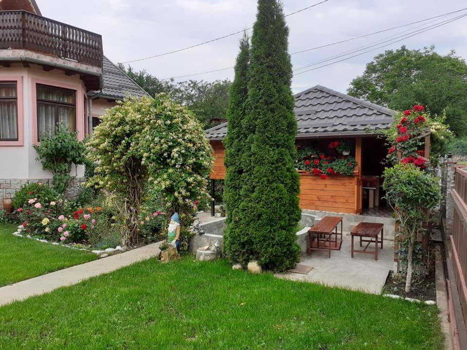 דירות נהויו Casa Fetic מראה חיצוני תמונה