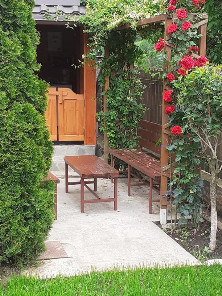דירות נהויו Casa Fetic מראה חיצוני תמונה