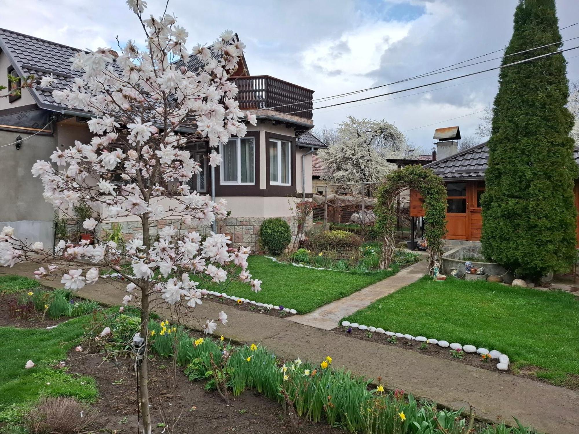 דירות נהויו Casa Fetic מראה חיצוני תמונה